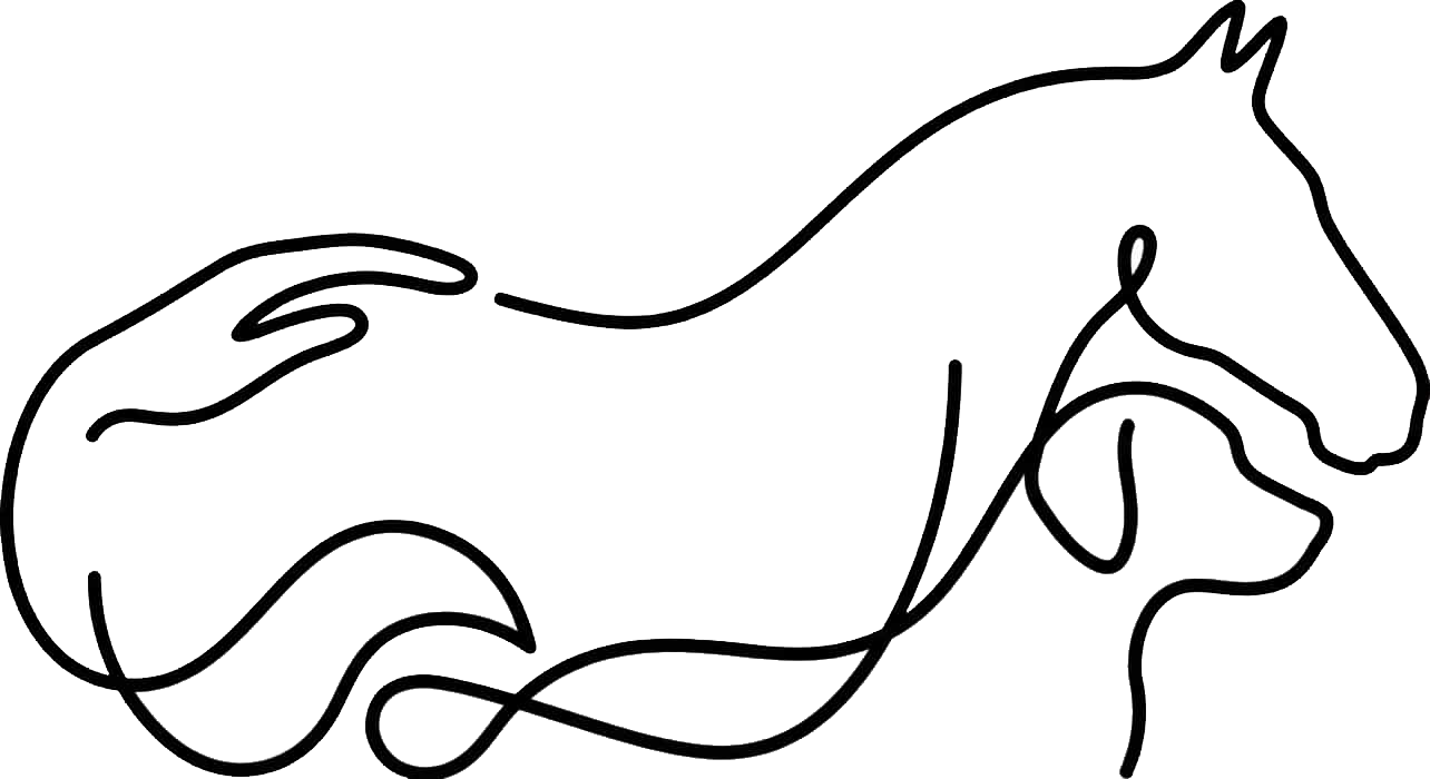 logo transparent logo